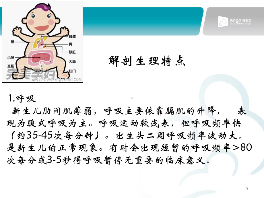 正常新生儿生理特点PPT课件.ppt（41页）_第3页