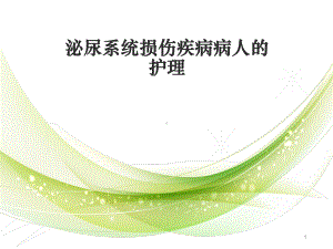 泌尿系统损伤疾病病人的护理PPT课件.ppt（52页）