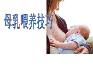 母乳喂养技巧PPT课件.ppt（28页）