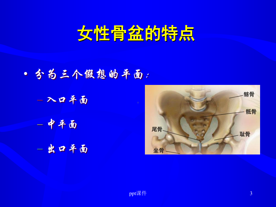 正常分娩机转-ppt课件.ppt（17页）_第3页