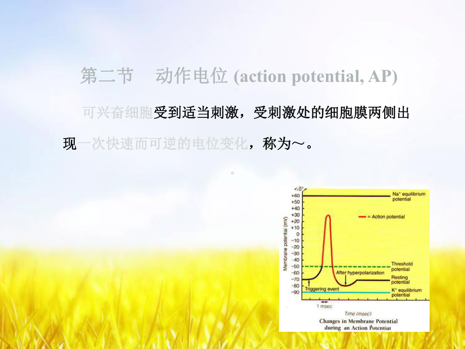 生理课件动作电位.ppt_第1页