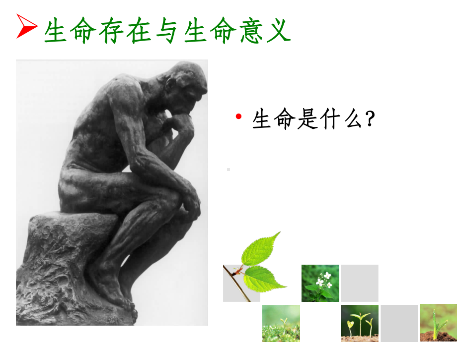 生命教育与心理危机干预ppt课件.ppt_第2页