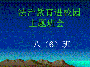 法治教育进校园班会-ppt课件.ppt（22页）