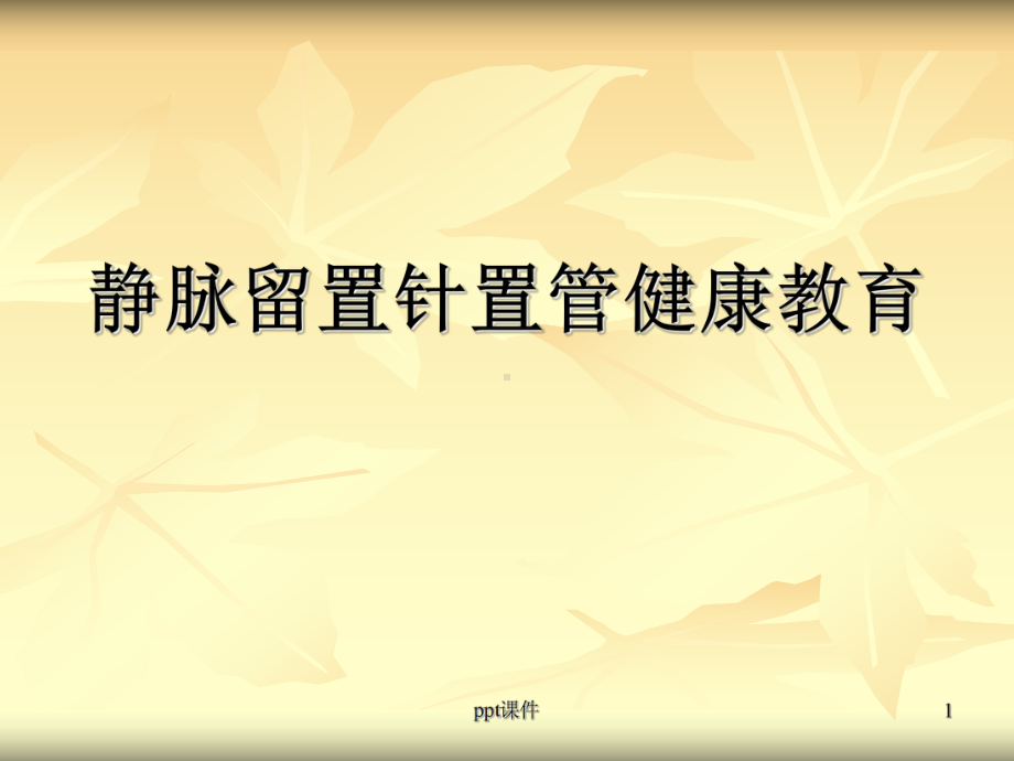 留置针健康教育-ppt课件.ppt_第1页