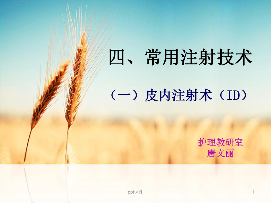 皮内注射-ppt课件.ppt_第1页