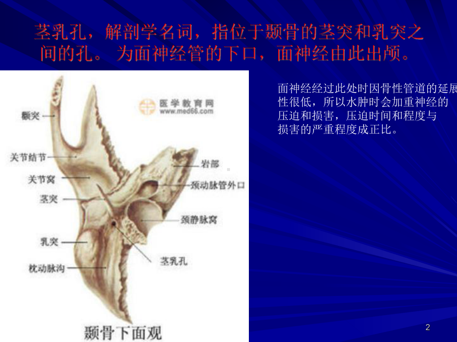 特发性面神经麻痹PPT课件.ppt（55页）_第2页