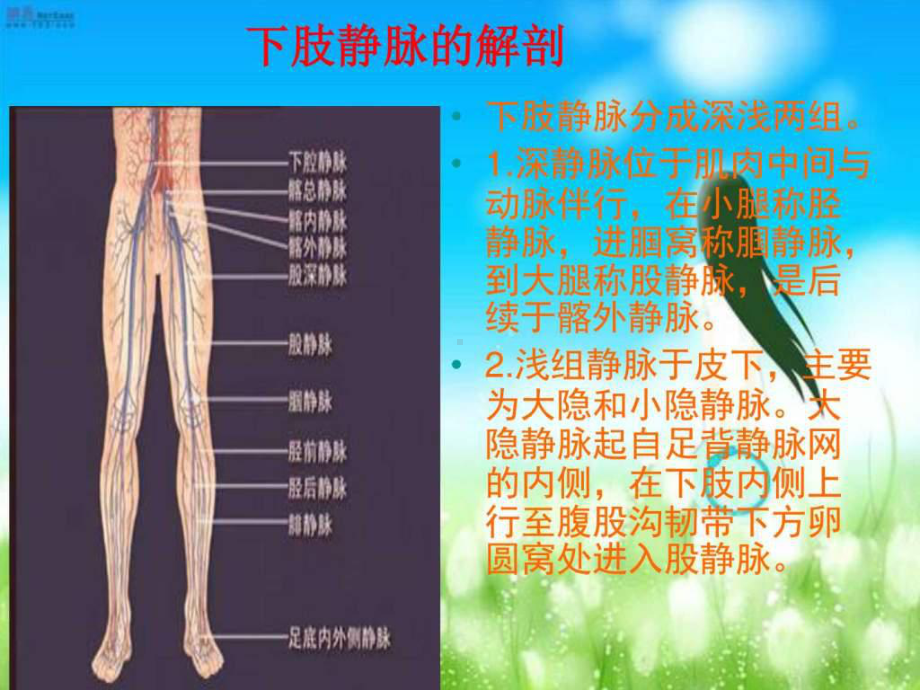 深静脉血栓的预防及护理ppt课件.ppt（33页）_第3页