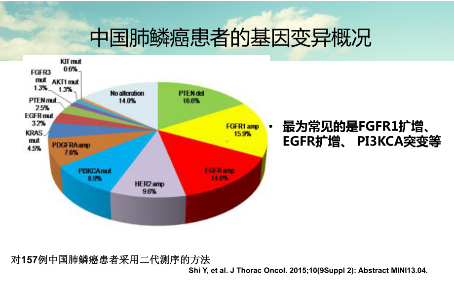 晚期肺鳞癌的靶向治疗课件.ppt（33页）_第3页