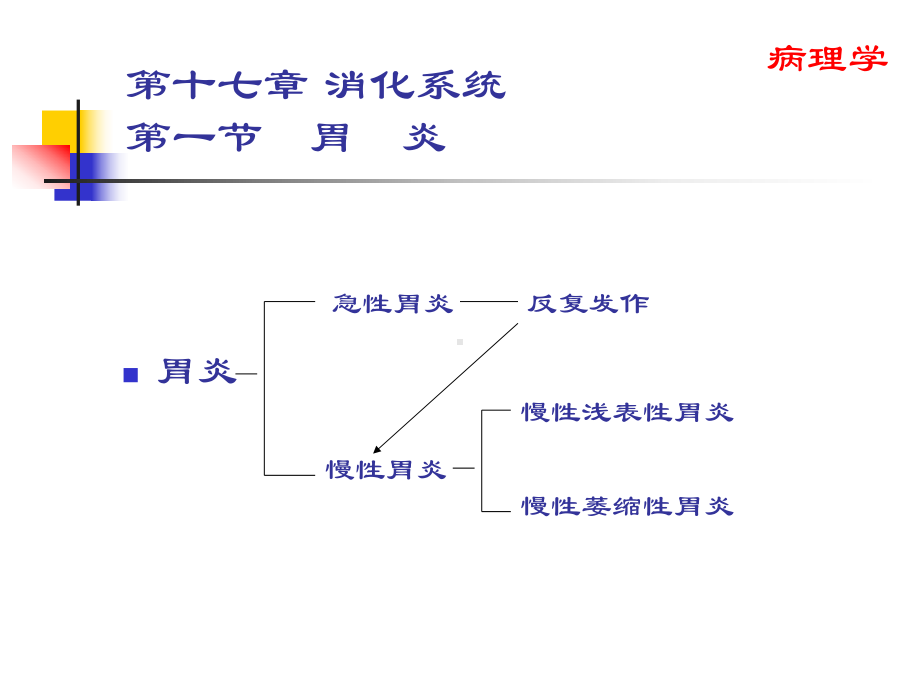 消化系统-ppt课件.ppt（88页）_第2页