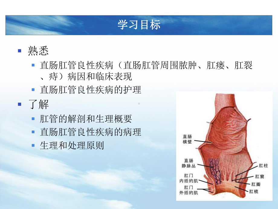 直肠肛管良性疾病课件.pptx_第2页