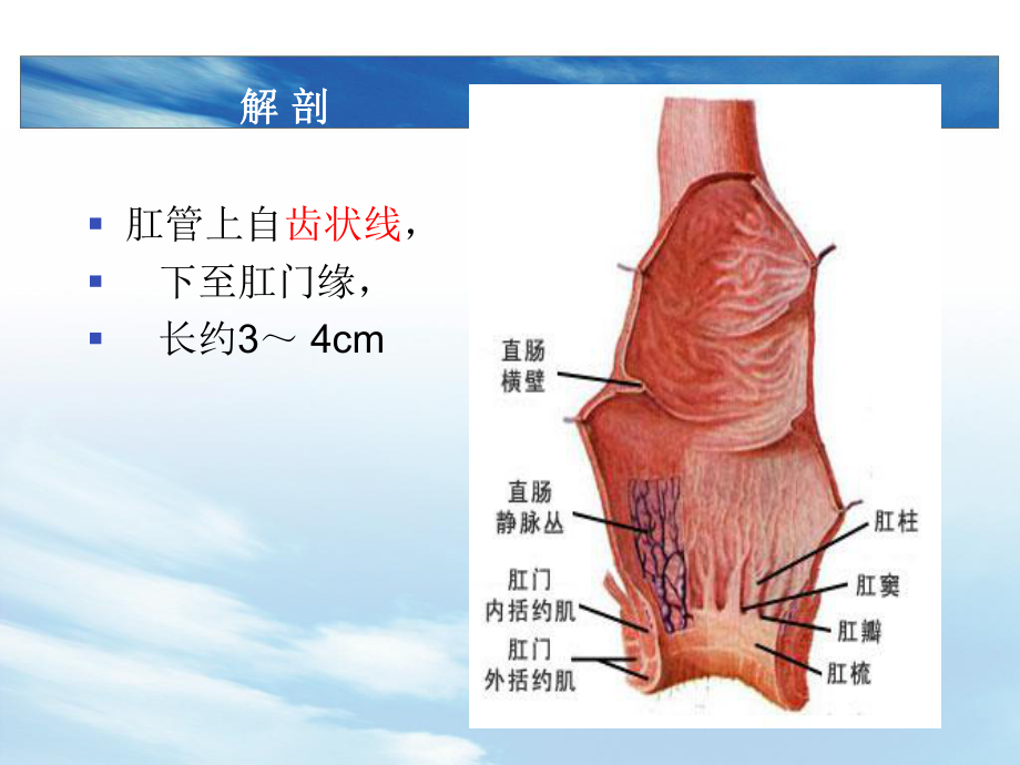 直肠肛管良性疾病课件.pptx_第3页