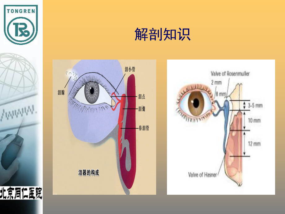 泪道探通-ppt课件.ppt（27页）_第2页