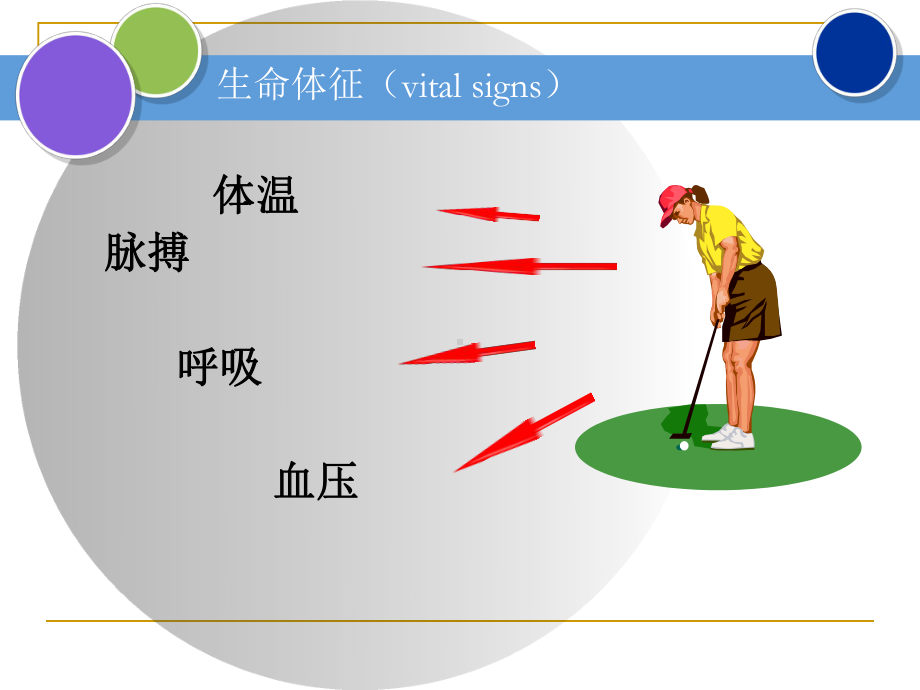 生命体征测量方法课件.ppt_第2页