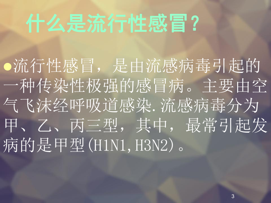 流行性感冒知识讲座课件.ppt（25页）_第3页