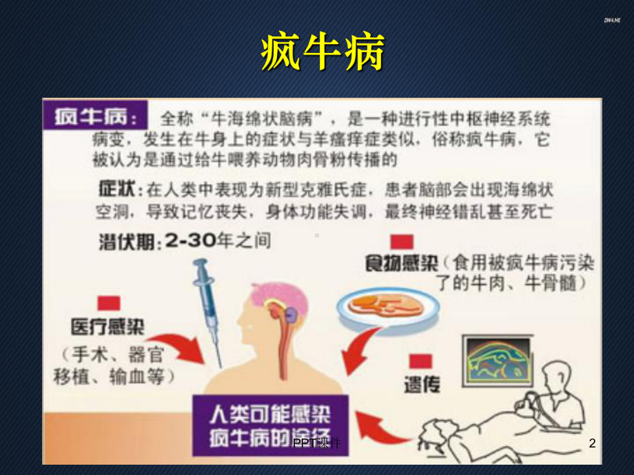 生物入侵与生物安全-ppt课件.ppt_第2页