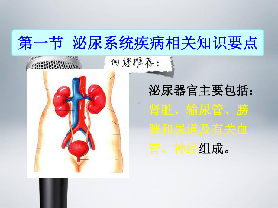 泌尿系统疾病常见症状体征的护理课件.ppt（42页）_第2页