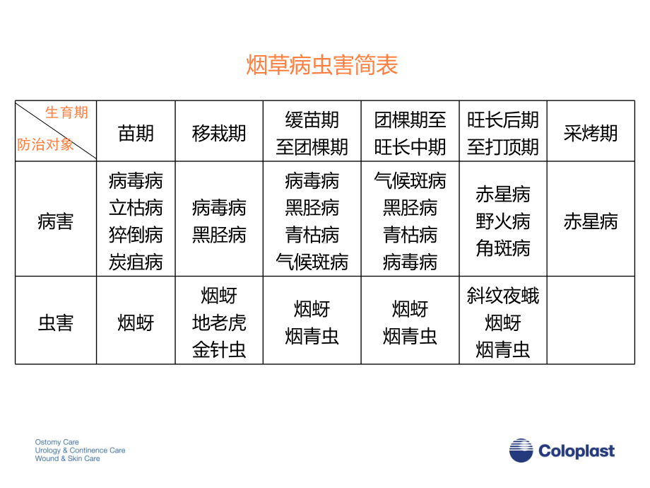 烟草病虫害防治PPT课件.ppt（22页）_第3页