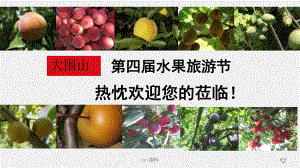 水果及土特产品介绍-ppt课件.ppt（29页）