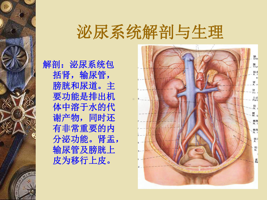 泌尿系结石的诊治课件.ppt（35页）_第2页