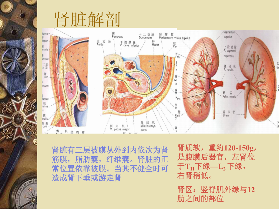 泌尿系结石的诊治课件.ppt（35页）_第3页