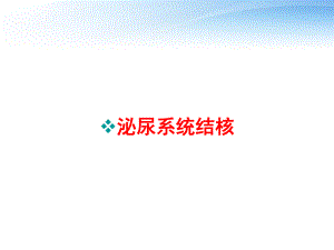 泌尿系统结核-ppt课件.ppt（31页）