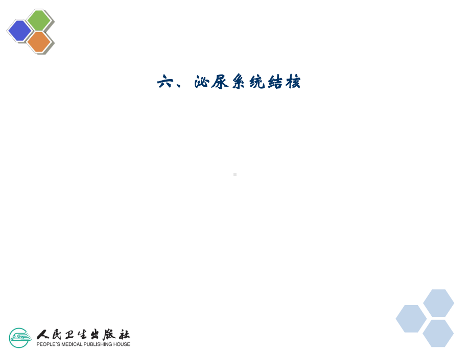 泌尿系统结核-ppt课件.ppt（31页）_第2页