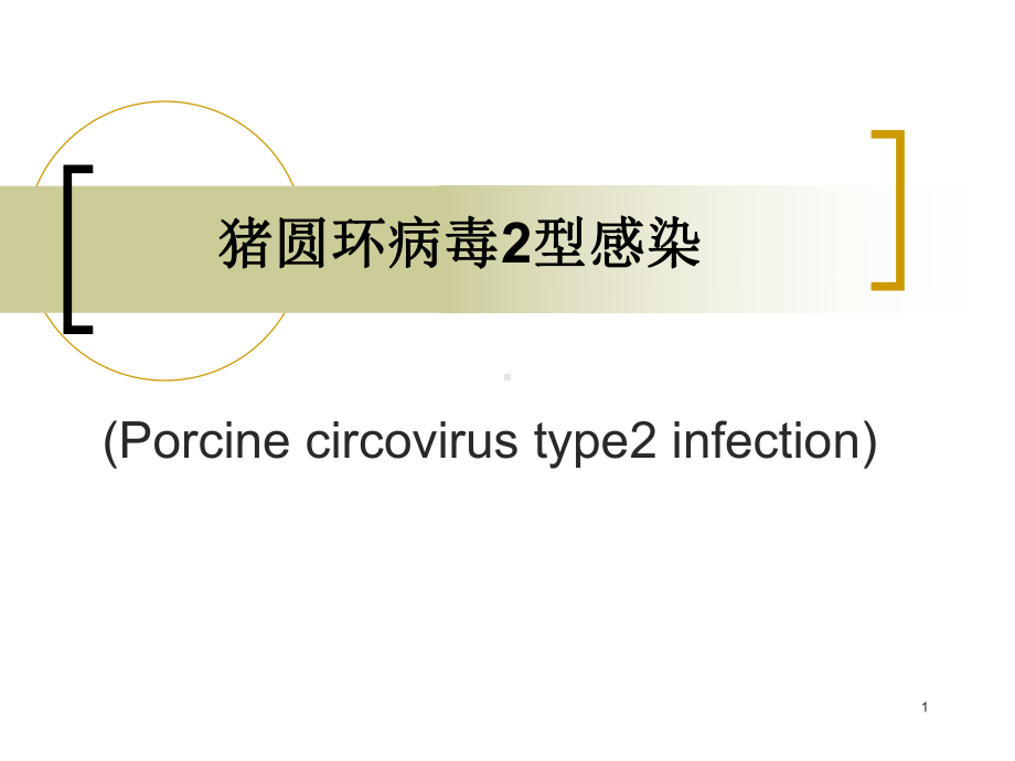 猪圆环病毒感染PPT课件.ppt（45页）_第1页