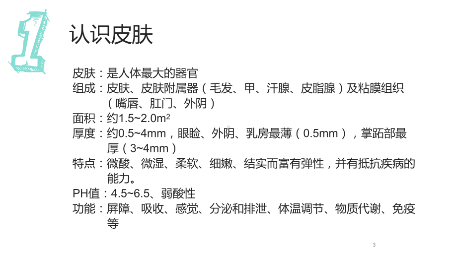 皮肤管理精品课专业基础知识PPT课件.ppt_第3页