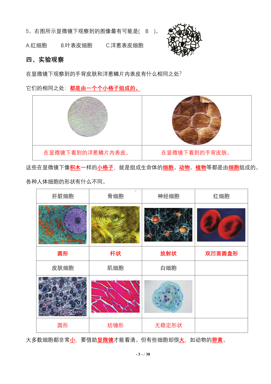 2022新苏教版五年级下册《科学》全册 知识点 期末复习题（按课编写pdf图文版）.pdf_第3页