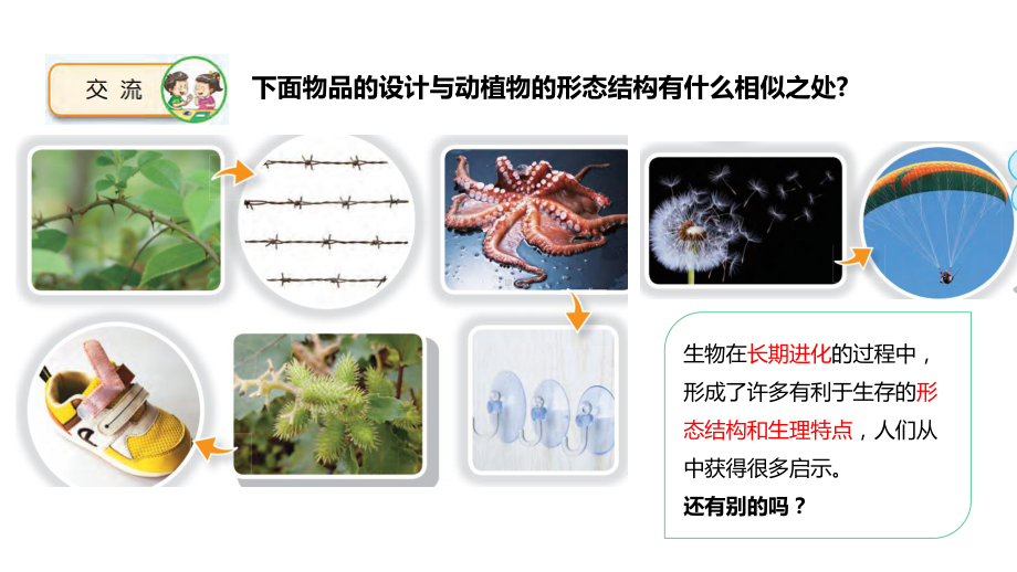 2022新苏教版五年级下册科学2-1 生物的启示 ppt课件（含练习）.pptx_第2页