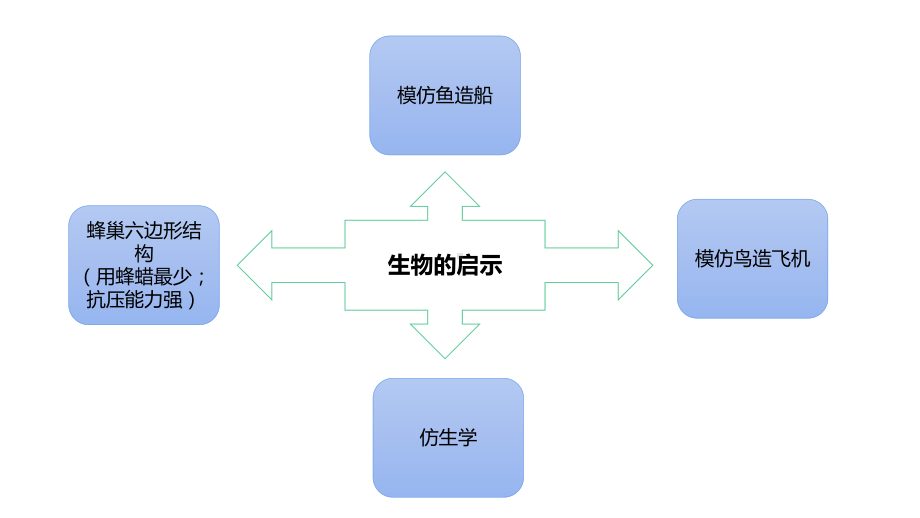 2022新苏教版五年级下册科学第2单元 仿生复习 ppt课件.pptx_第3页