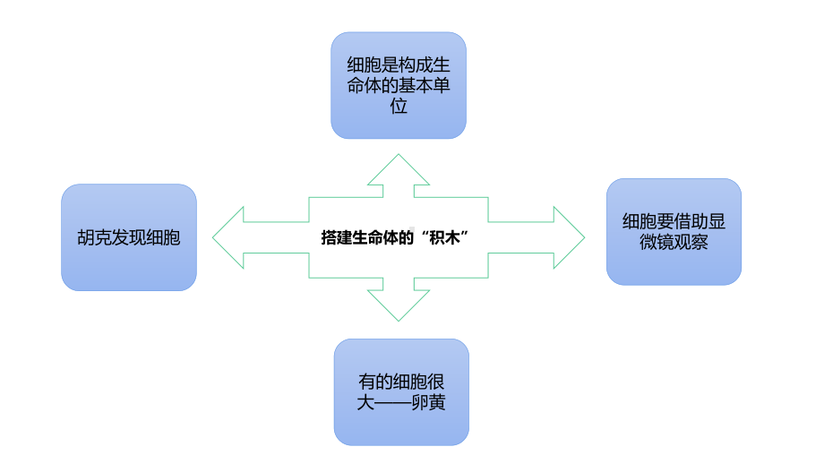 2022新苏教版五年级下册科学第1单元显微镜下的生命世界复习 ppt课件.pptx_第3页