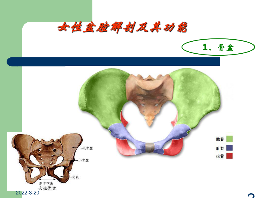 盆底功能障碍性疾病的防治PPT演示课件.ppt_第3页