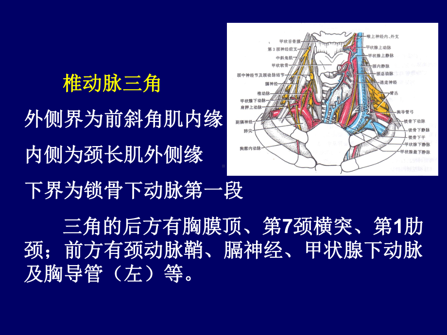 星状神经节射频技术-PPT精品课件.ppt_第3页