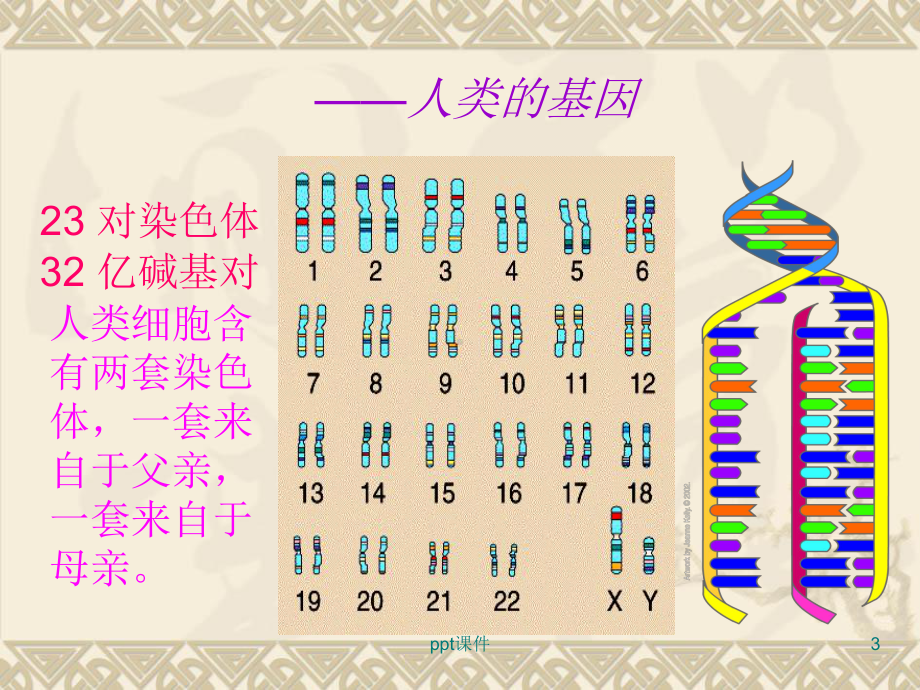 研究性学习报告-ppt课件.ppt_第3页