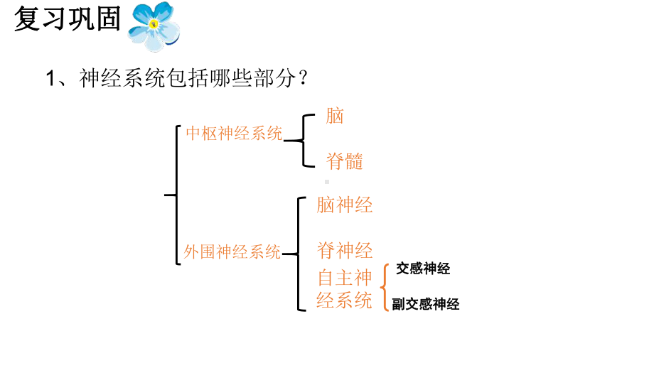 神经调节的基本方式（新教材）新人教版高中生物选择性必修一PPT课件.ppt_第1页