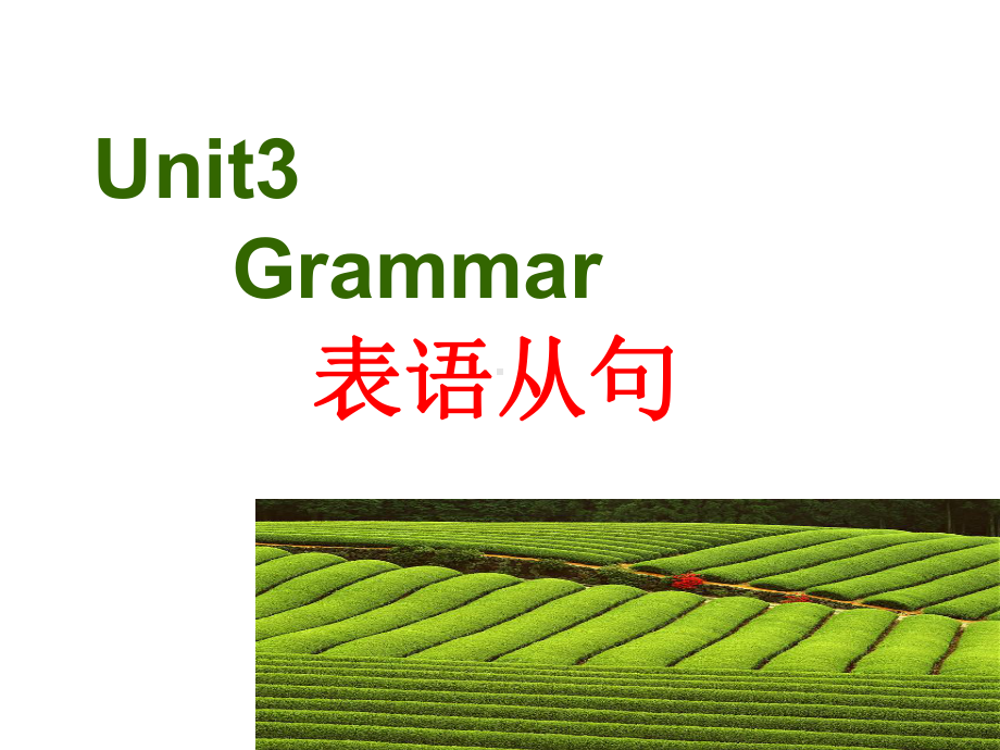 表语从句讲课课件.ppt_第1页