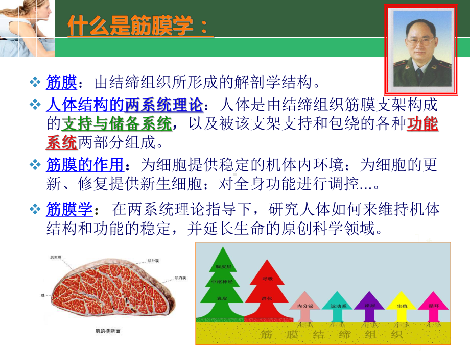 筋膜学与中医外治技术PPT课件.ppt_第2页