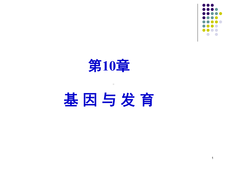 第10章-基因与发育-ppt课件.ppt_第1页