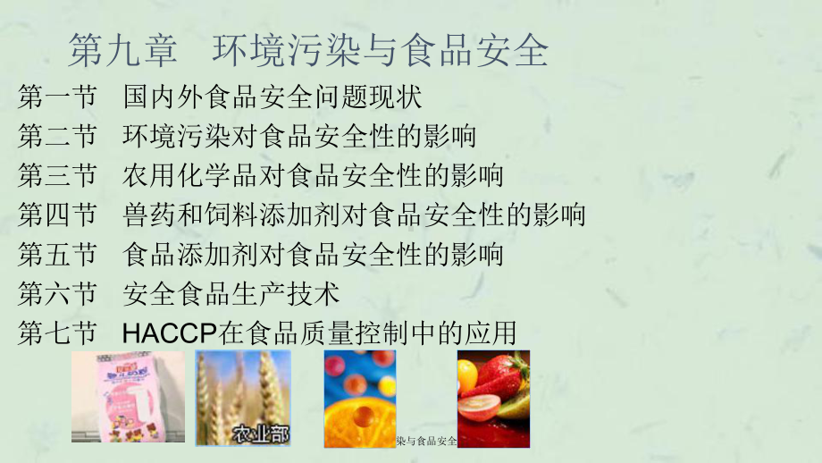 环境污染与食品安全课件.ppt_第1页