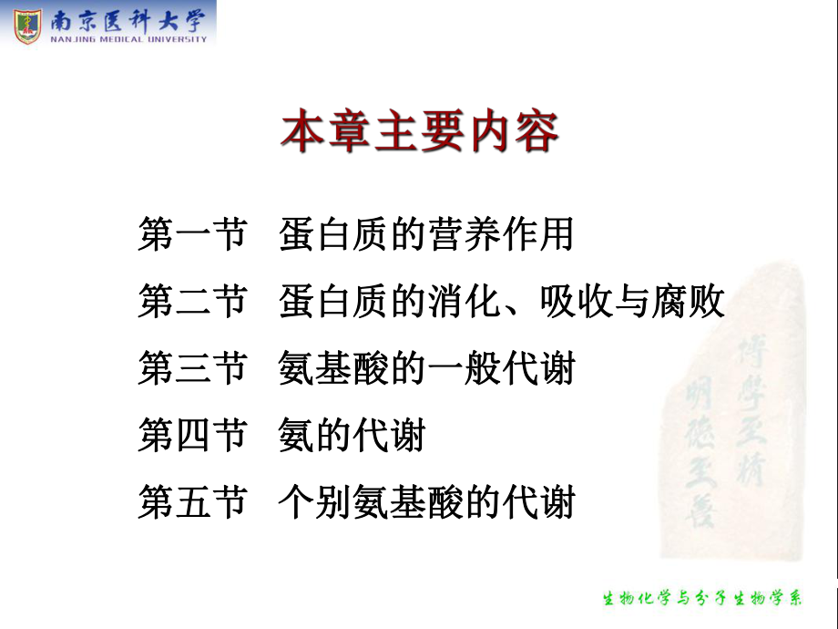 生物化学课件-氨基酸代谢.ppt_第2页