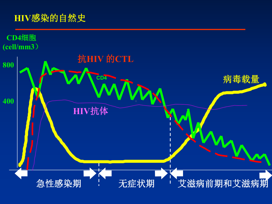 艾滋病临床表现及分期分析课件.ppt_第2页