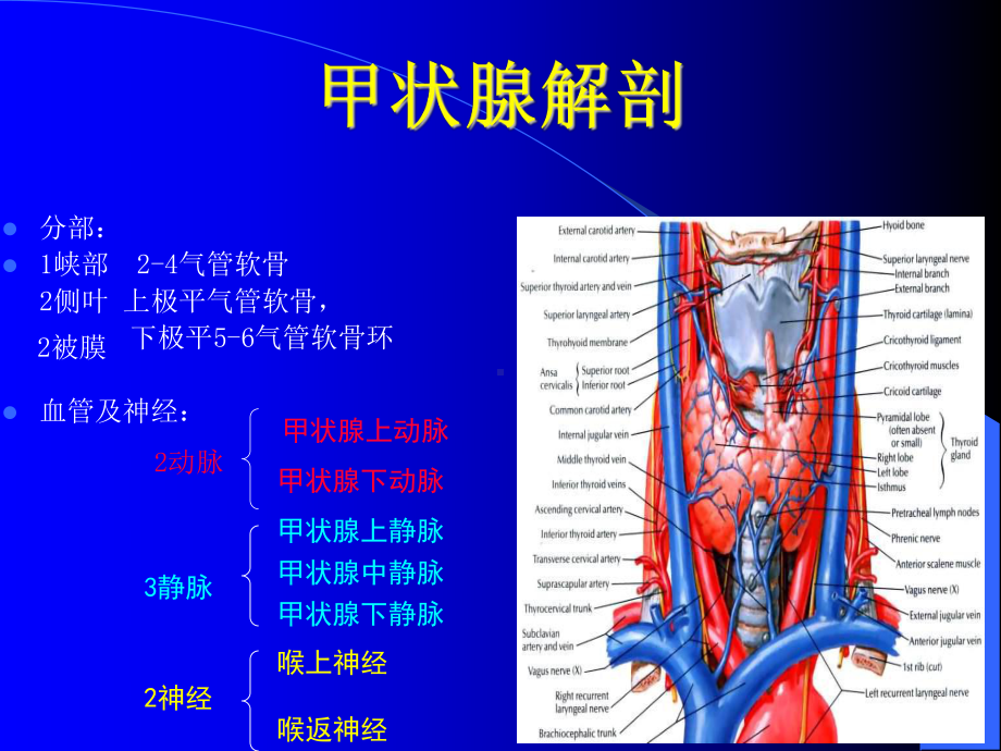 甲状腺结节的诊断和治疗ppt课件.ppt_第3页