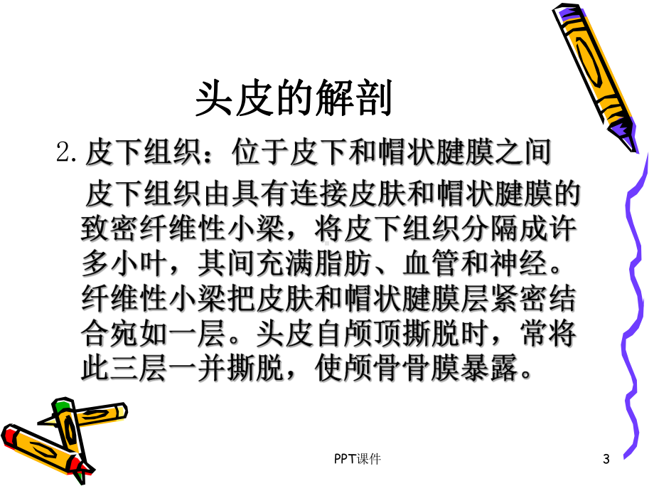 神经外科解剖-ppt课件.ppt_第3页