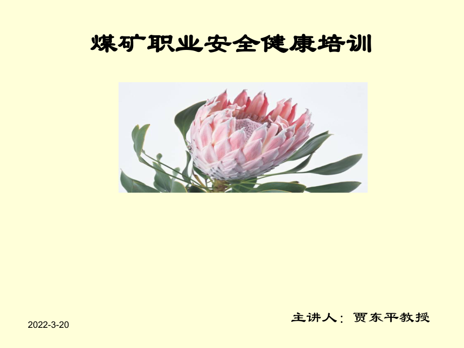 某某煤矿职业安全健康培训课件.ppt_第1页