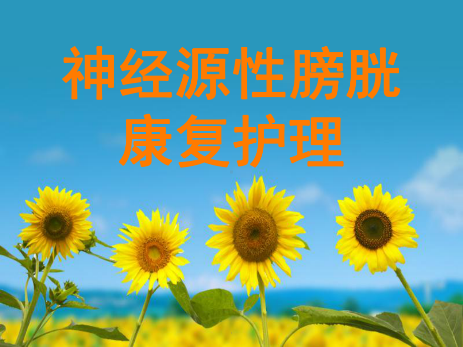 神经源性膀胱护理PPT课件.ppt_第1页