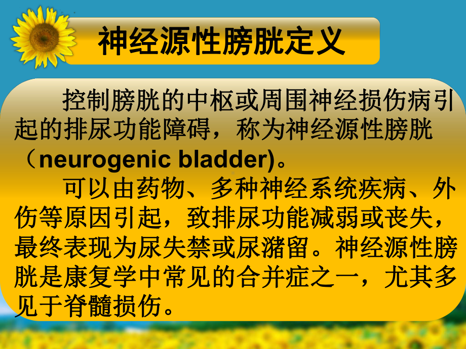 神经源性膀胱护理PPT课件.ppt_第2页