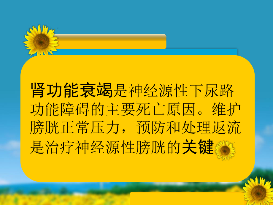 神经源性膀胱护理PPT课件.ppt_第3页