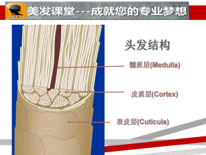 最全发型师必学染发课件.ppt