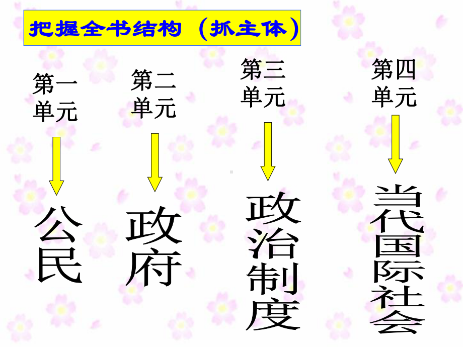 政治生活复习课件.pptx_第2页